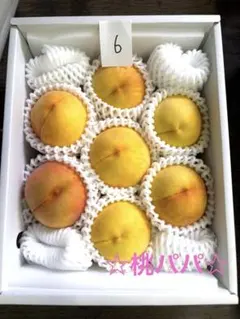 ⑥終了間近セール❗️秀品2キロ箱❗️ ★桃パパ★【送料無料】あら川ブランド桃