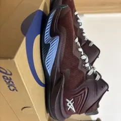 asics NOVA SURGE 3 25.5cm新品未使用