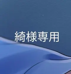 綺様専用ページです