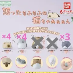 怒ったもふもふの猫ちゃあぁぁん