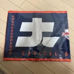 RB大宮アルディージャ タオル　応援グッズ