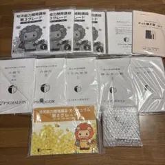 2025年最新】ピグマリオン 幼児能力開発講座の人気アイテム - メルカリ