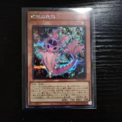 遊戯王 賜炎の咎姫 PHNI-JP052 初版 シークレット シク - メルカリ