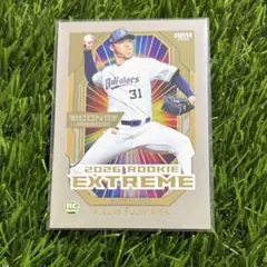 Item thumbnail for item c3dba988-42c2-4486-b5da-bef2c5c60fc6