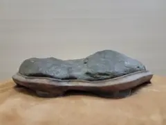 本鞍馬石 ミニ盆栽 小品盆栽 山野草 水石 - メルカリ