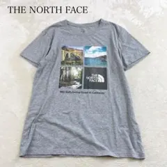 THE NORTH FACE グレー Tシャツ カリフォルニア メンズ XL