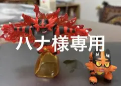 モンコレ　ニャビー　ガオガエン