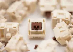 WOBKEY Rainy75 Pro 純正搭載 KAILH Cocoa 10個