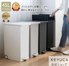 KEYUCA 45L ダストボックス ホワイト１個