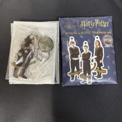 【新品】ハリーポッターアクリルチャームコレクションハグリッド