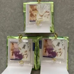 鬼滅の刃 柱展 アクリルチャーム 不死川 冨岡