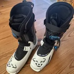 Item thumbnail for item 04cbcc8d-27cb-4098-ad42-f07829e807aa