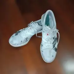 Item thumbnail for item e29d0e4b-373f-414f-8153-4c2a0bc04ea2