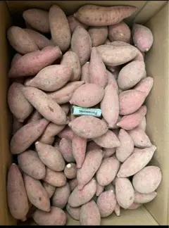 種子島産安納芋 紅 1口 3kg