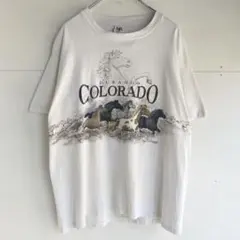 90s anvil US製 シングルステッチTシャツ ヴィンテージ 古着 馬