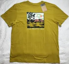 THE NORTH FACE 半袖Tシャツ イエロー XXL メンズ USA限定