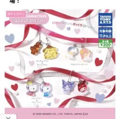 ※サンリオ マイメロ、キキララ　せり様専用※