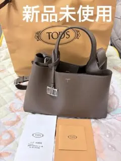 o73【極美品】トッズ Tタイムレス レザー ミニ 2wayショルダーバッグ 