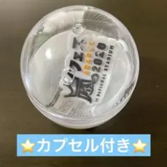 嵐 2026 ガチャマグネット アラフェス 2020 We are ARASHI