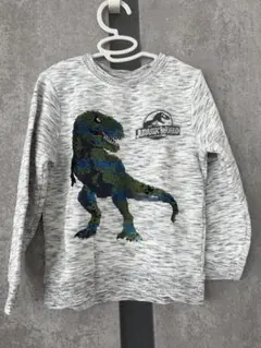 H&M 恐竜スパンコールトレーナー