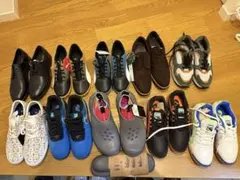 Item thumbnail for item 353e4557-2aba-4960-be94-dbd3311c3f3a