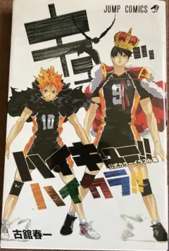 ハイキュー!! 公式カラーイラスト集 ハイカラ!!