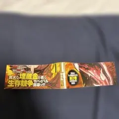 ✨希少1巻初版帯✨ゴールデンカムイ 初版1巻 販促用帯 野田サトル 集英社