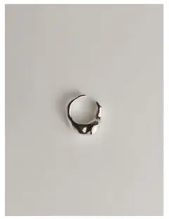 アクセサリー Haim GAGAN jewelry Carnelian pierce 2025年最新】gagan リングの人気アイテム - メルカリ