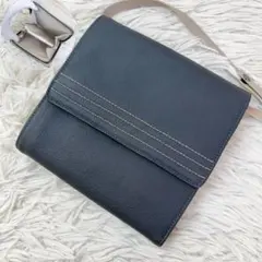 美品✨LOEWE ショルダーバッグ　ショルダーウォレット　アナグラム　ロゴ金具