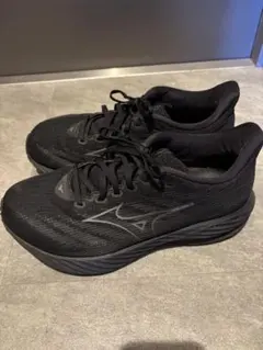 ミズノウエーブライダー28サイズ28)