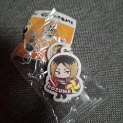 ハイキュー めじるしチャーム 孤爪研磨