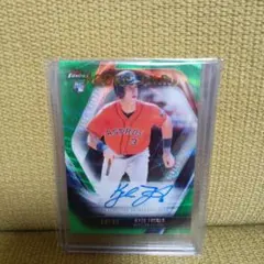 Item thumbnail for item ca0f38b2-63ed-4d84-bdf3-e94d4f315695