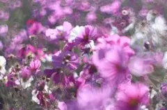 Item thumbnail for item b17bc1d4-0f4b-4247-98ea-60f8e78219e9