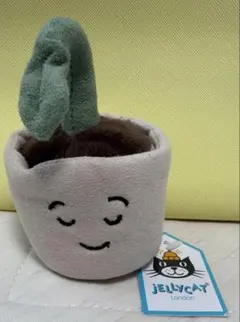 Jellycat I am Serene Seedling 植物のサムネイル