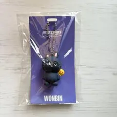 2025年最新】RIIZEグッズの人気アイテム - メルカリ