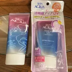 Item thumbnail for item f63b82c8-4a09-482a-9aa6-96b0ff711b43