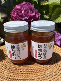 ハチミツ　日本蜜蜂の蜂蜜　叔父専用はちみつ　奥山の奥　1本花粉入り ハチミツ 日本蜜蜂の蜂蜜 奥山の奥のはちみつ 1本叔父専用蜂蜜 - メルカリ