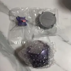 ポケモン 光り輝くしんぴのキセキ ゲンガー