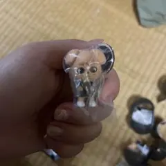 SKZOO ガチャ スンミン パピム