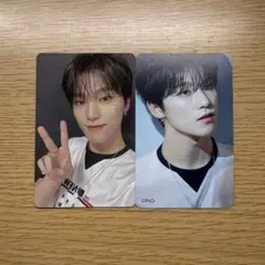 SEVENTEEN 舞い落ちる花びら トレカ ディノ