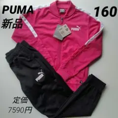 新品 PUMAプーマ ジャージ上下セット 裏トリコット ジュニア160