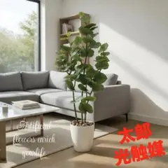 光触媒　人工観葉植物　ウォールグリーン　フェイクグリーン　シーグレープ1.2