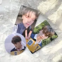 seventeen バーノン トレカ An Ode Real シール セット