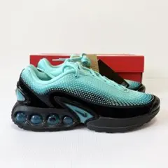 新品箱付きNIKEナイキAIR MAX DNエアマックス　DNプレミアム24cm