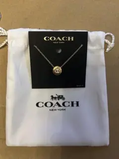 Item thumbnail for item 32f83909-9911-491e-988b-5a5152491524