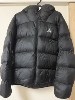 palace ダウン punkandyo GORE-TEX shido palace ダウン punkandyo GORE-TEX shido様専用 - メルカリ