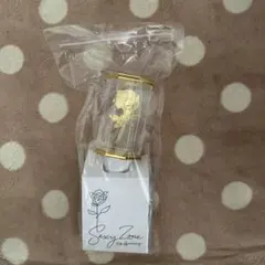 sz10th ペンライト