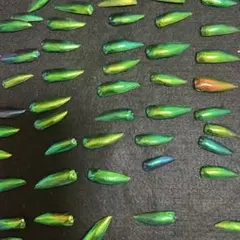 Item thumbnail for item 2fc27aa5-3ac1-4bc9-9a33-9da03f4c498b