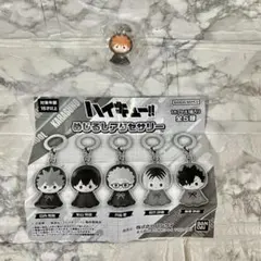 【日向 翔陽】ハイキュー!! めじるしアクセサリー