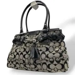 美品　coach コーチ　ハンドバッグ　黒　シグネチャー　ハンプトンズ　T1